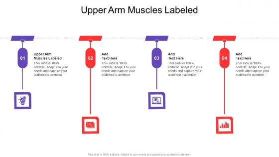 Upper Arm Muscles Labeled In Powerpoint And Google Slides Cpb