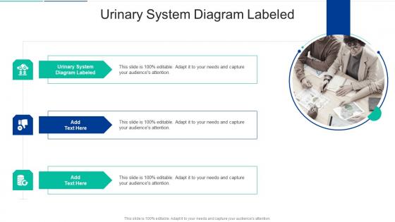 Urinary System Diagram Labeled In Powerpoint And Google Slides Cpb