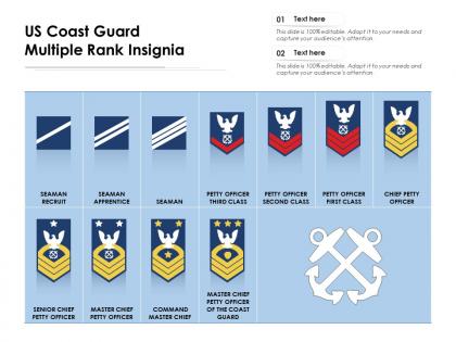 Us coast guard multiple rank insignia