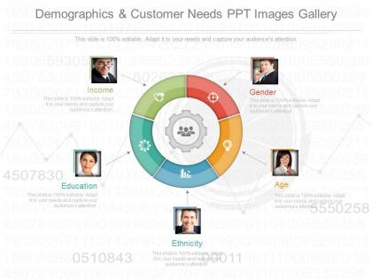Use demographics and customer needs ppt images gallery