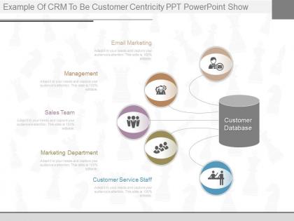 Use example of crm to be customer centricity ppt powerpoint show