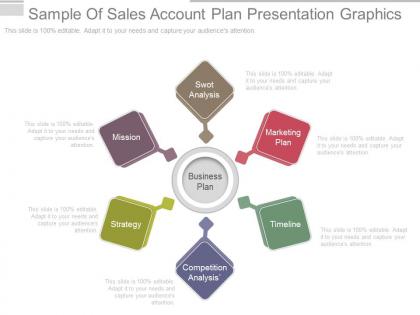 Use sample of sales account plan presentation graphics