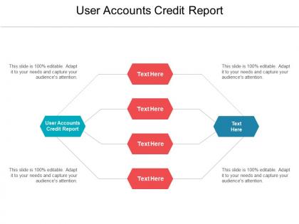 User accounts credit report ppt powerpoint presentation layouts slideshow cpb