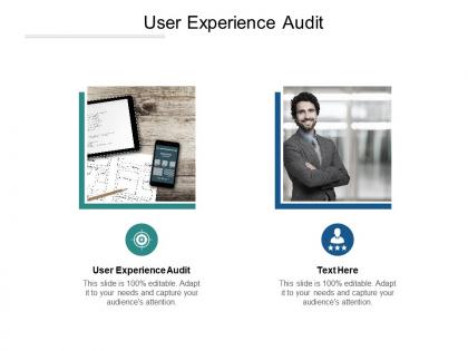 User experience audit ppt powerpoint presentation show cpb