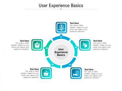User experience basics ppt powerpoint presentation infographics file formats cpb