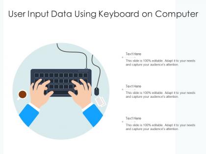 User input data using keyboard on computer