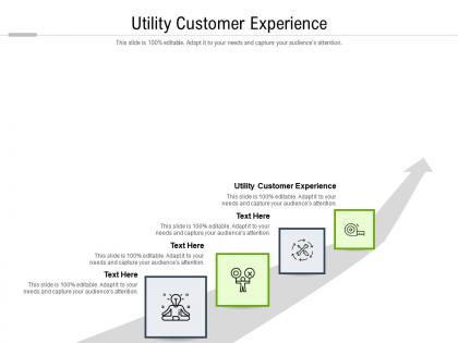 Utility customer experience ppt powerpoint presentation gallery vector cpb