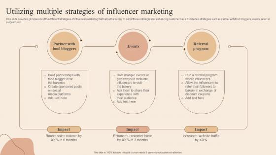 Utilizing Multiple Strategies Of Influencer Developing Actionable Advertising Plan Tactics MKT SS V