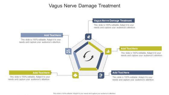 Vagus Nerve Damage Treatment In Powerpoint And Google Slides Cpb