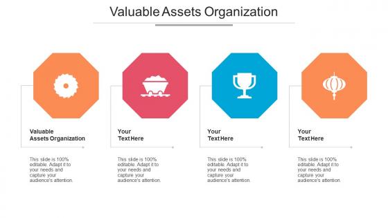 Valuable Assets Organization Ppt Powerpoint Presentation Portfolio Elements Cpb