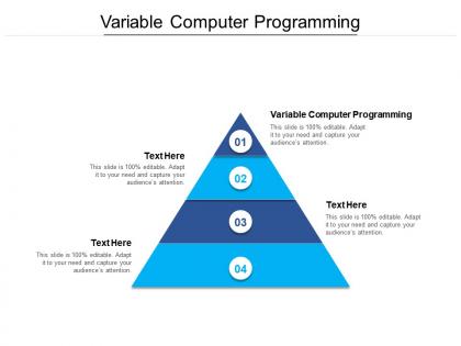 Variable computer programming ppt powerpoint presentation ideas graphics pictures cpb