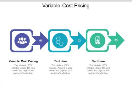 Variable cost pricing ppt powerpoint presentation slides introduction cpb