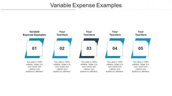 Variable expense examples ppt powerpoint presentation show skills cpb