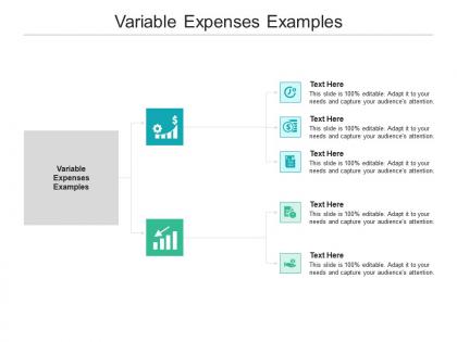 Variable expenses examples ppt powerpoint presentation backgrounds cpb