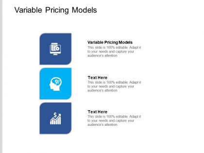 Variable pricing models ppt powerpoint presentation visual aids icon cpb