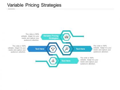 Variable pricing strategies ppt powerpoint presentation model example cpb