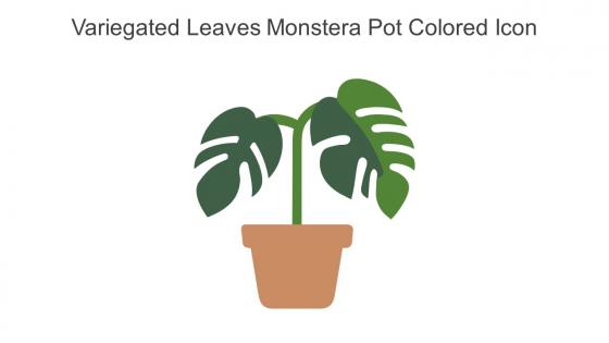 Variegated Leaves Monstera Pot Colored Icon In Powerpoint Pptx Png And Editable Eps Format