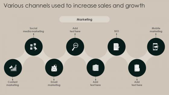Various Channels Used To Increase Sales And Growth Implementation Of Market Strategy SS V