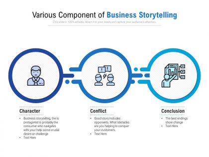 Various component of business storytelling