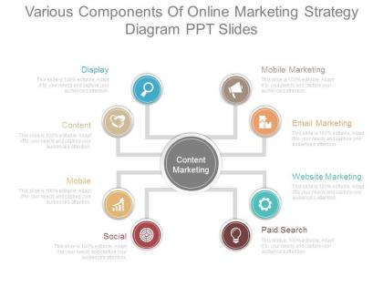 Various components of online marketing strategy diagram ppt slides