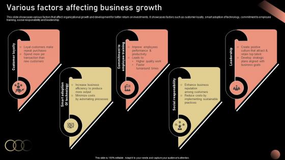 Various Factors Affecting Business Strategic Plan For Company Growth Strategy SS V