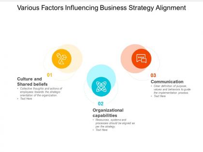 Various factors influencing business strategy alignment