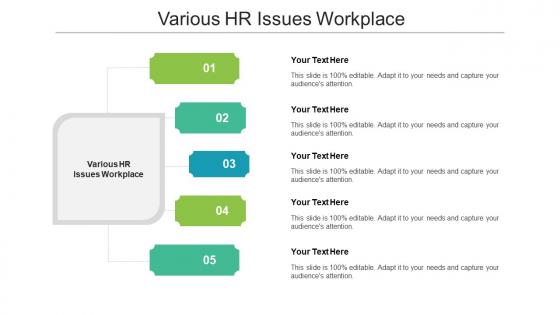 Various HR Issues Workplace Ppt Powerpoint Presentation Pictures Microsoft Cpb