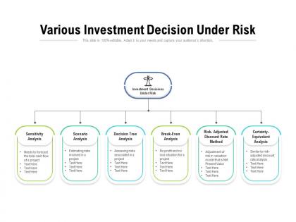 Various investment decision under risk