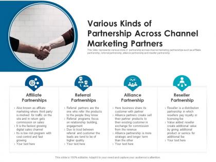 Various kinds of partnership across channel marketing partners