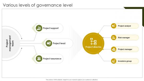 Various Levels Of Governance Implementing Project Governance Framework For Quality PM SS