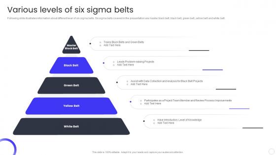Various Levels Of Six Sigma Belts QCP Templates Set 3 Ppt Powerpoint Presentation Picture