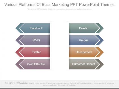 Various platforms of buzz marketing ppt powerpoint themes