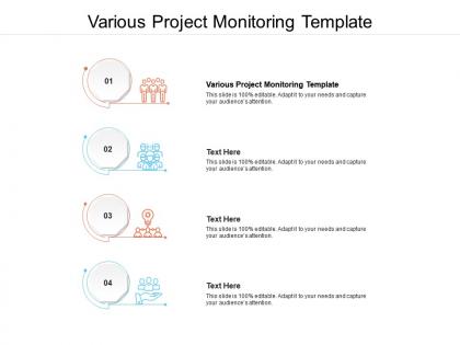 Various project monitoring template ppt powerpoint presentation infographics outfit cpb