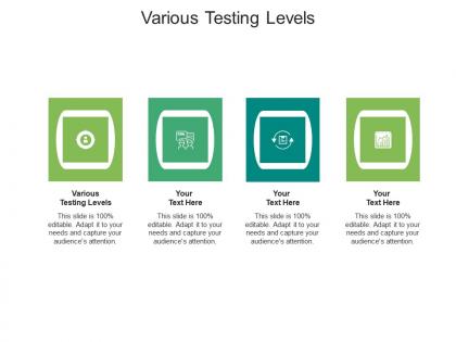 Various testing levels ppt powerpoint presentation pictures guidelines cpb