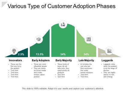 Various type of customer adoption phases