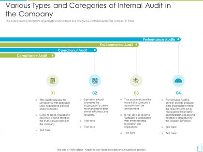 Various types and categories of internal international standards in internal audit practices
