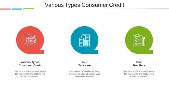 Various Types Consumer Credit Ppt Powerpoint Presentation Infographic Template Cpb