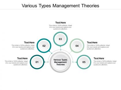 Various types management theories ppt powerpoint presentation infographics format cpb