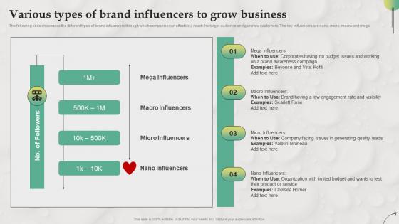 Various Types Of Brand Influencers To Grow B2B Marketing Strategies For Service MKT SS V