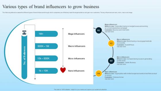 Various Types Of Brand Influencers To Grow Business Developing B2B Marketing Strategies MKT SS V