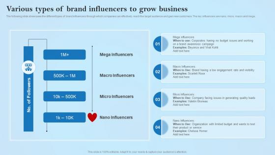 Various Types Of Brand Influencers To Grow Creative Business Marketing Ideas MKT SS V