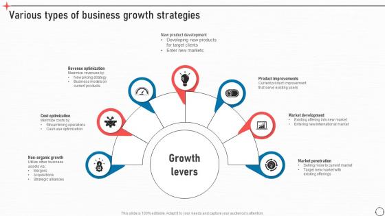 Various Types Of Business Growth Strategies Business Improvement Strategies For Growth Strategy SS V