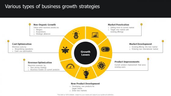 Various Types Of Business Growth Strategies Developing Strategies For Business Growth And Success