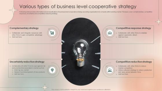 Various Types Of Business Level Cooperative Strategy
