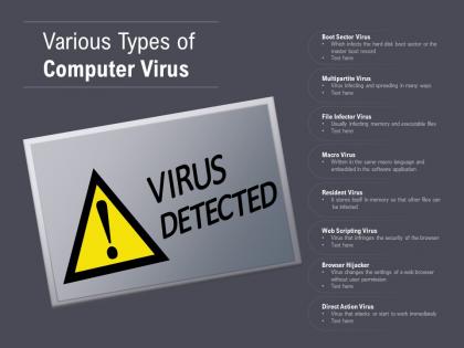 Various types of computer virus
