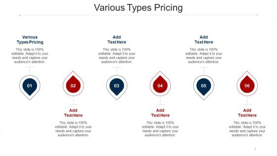 Various Types Pricing Ppt Powerpoint Presentation Show Shapes Cpb