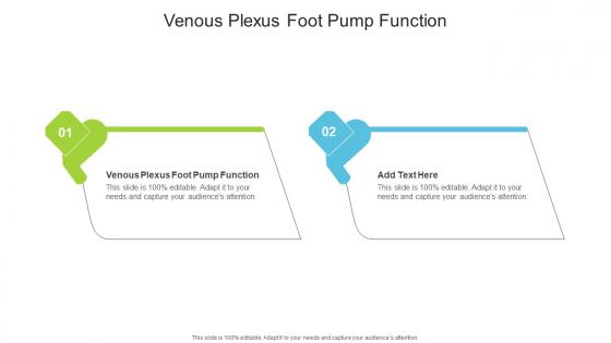 Venous Plexus Foot Pump Function In Powerpoint And Google Slides Cpb