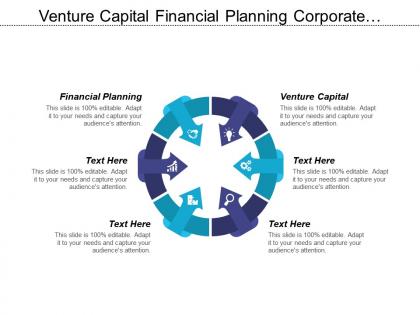 Venture capital financial planning corporate budgeting audit management cpb