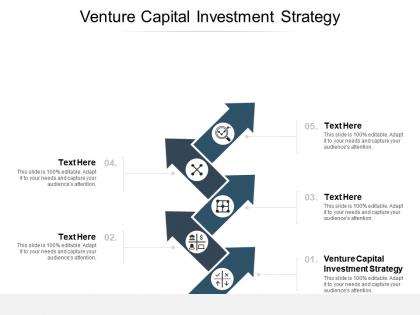 Venture capital investment strategy ppt powerpoint presentation show portfolio cpb