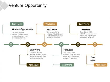 Venture opportunity ppt powerpoint presentation portfolio background image cpb